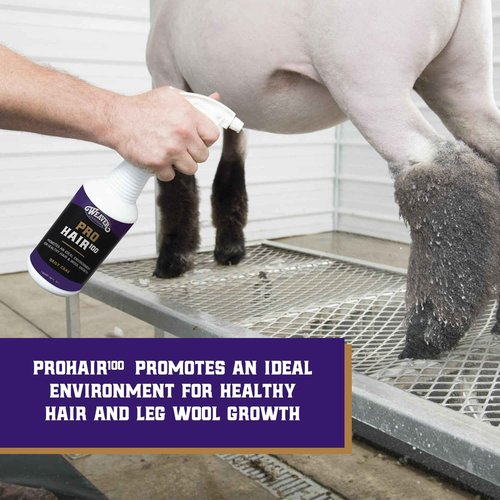 Weaver Livestock ProHair100 Healthy Hair and Wool Rejuvenating Livestock Hair Conditioner for Sheep, Goats, Cattle, and More, Pet Grooming Essentials