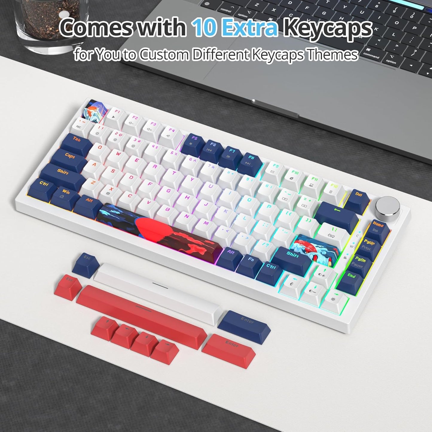 75 Percent Keyboard Gasket-Mounted with Sound Absorbing Pads, 82-Key Compact Wired RGB Mechanical Gaming Keyboard Hot-Swap Socket for Win, Blue Samurai