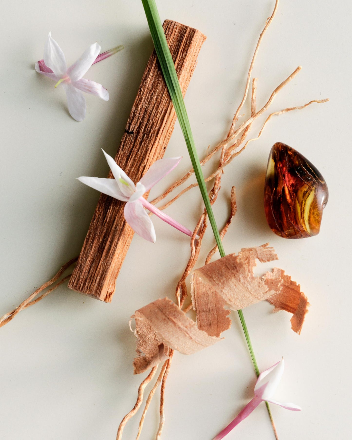 Maison Louis Marie - No.04 Bois de Balincourt Natural Roll-On Perfume Oil | Luxury Clean Beauty + Non-Toxic Fragrance (0.5 fl oz | 15 ml)