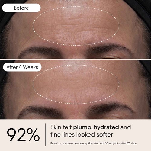 ALPYN Melt Moisturizer | Weightless Brightening and Plumping Hydration with a Velvety, Makeup-Ready Finish | 1.7 oz / 50 ml