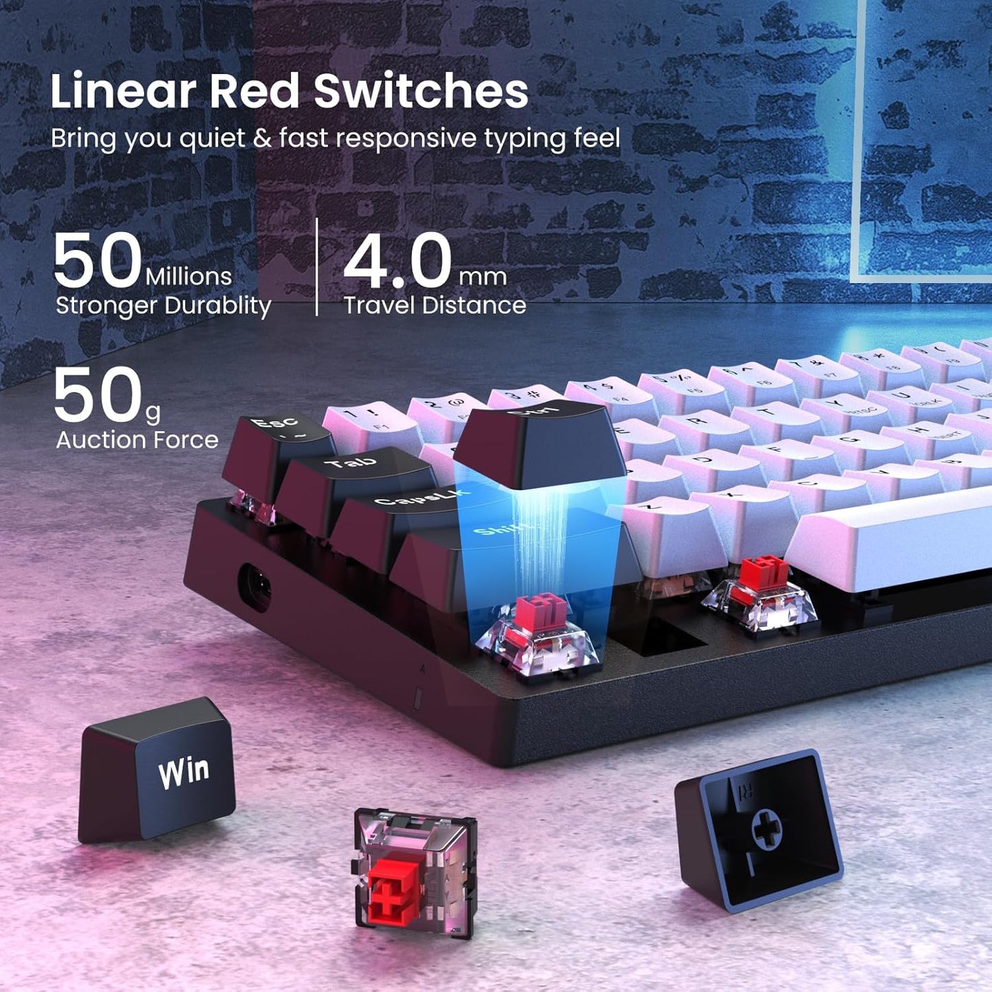 60 Percent Keyboard Black & White/Black, Blue and Red Switches,Double Choice,Lighting up Your Desktop …