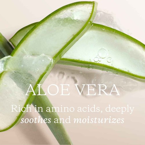 KORA Organics Minty Mineral Hydration Mist with Aloe Vera, Refresh & Uplift, Certified Organic, Cruelty Free, 3.38 fl oz