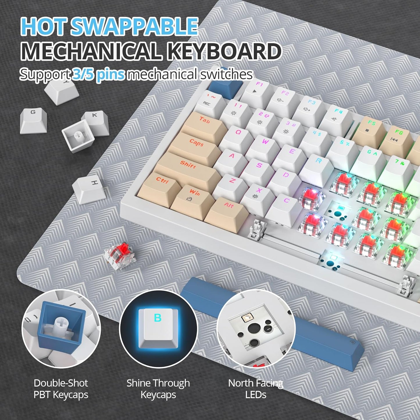 75 Percent Keyboard Gasket-Mounted with Sound Absorbing Pads, 82-Key Compact Wired RGB Mechanical Gaming Keyboard Hot-Swap Socket for Win, Monster-B