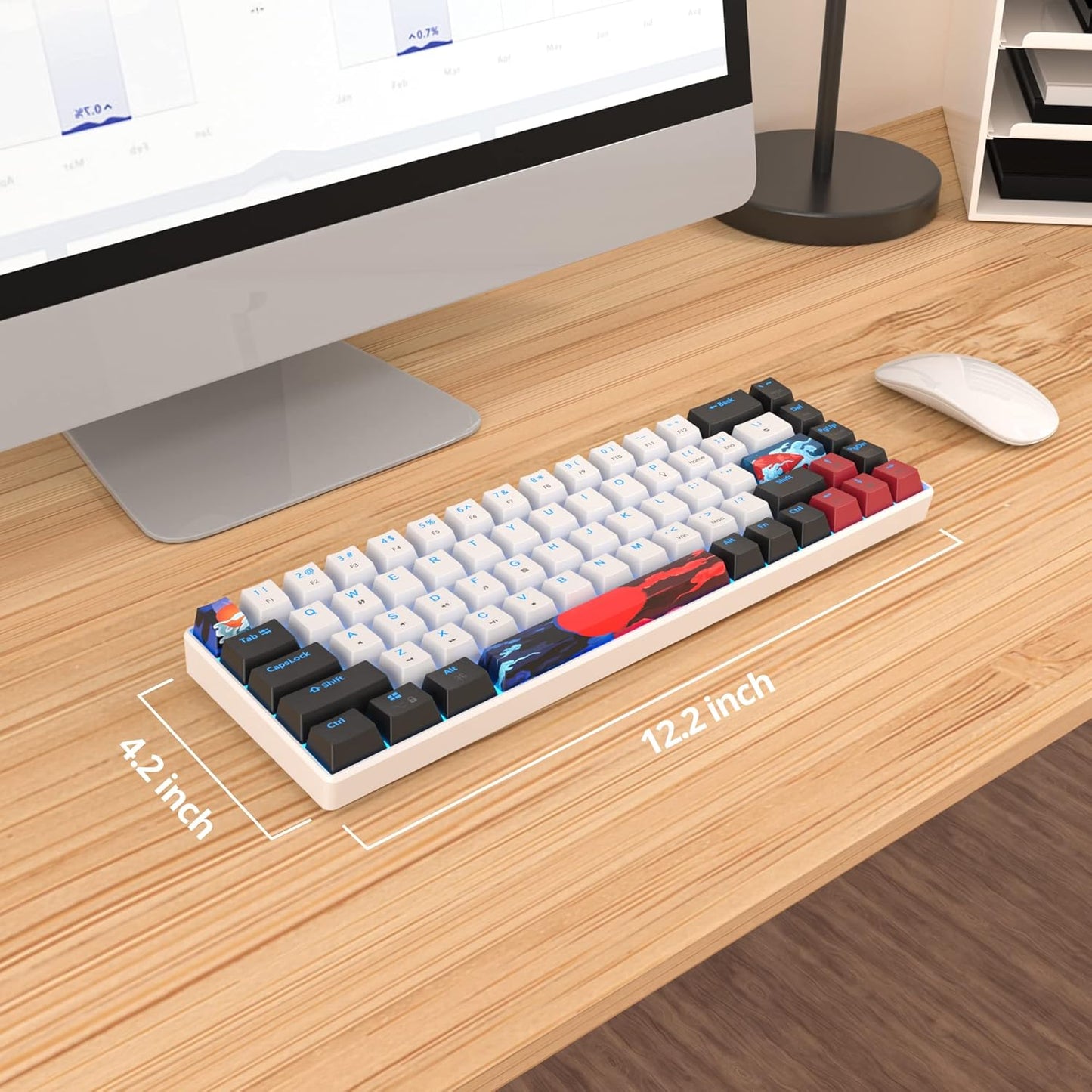 60 Percent Gaming Keyboard 68 Keys Mechanical Keyboard LED Backlit Compact Wired Keyboard with Red Switch for Windows PS4/5 Xbox Gamer(Black-White)