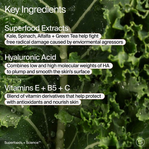 Youth To The People Superfood Air-Whip Moisture Cream Jumbo - Kale + Green Tea Hyaluronic Acid Face Moisturizer, Smooths + Hydrates Up to 48HR with Dewy Glow, Non-Greasy Lightweight Gel - 3.4 fl oz