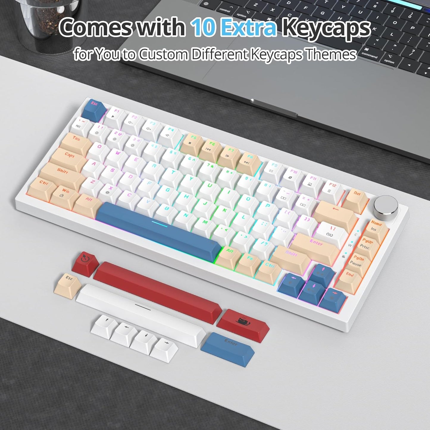 75 Percent Keyboard Gasket-Mounted with Sound Absorbing Pads, 82-Key Compact Wired RGB Mechanical Gaming Keyboard Hot-Swap Socket for Win, Blue Samurai