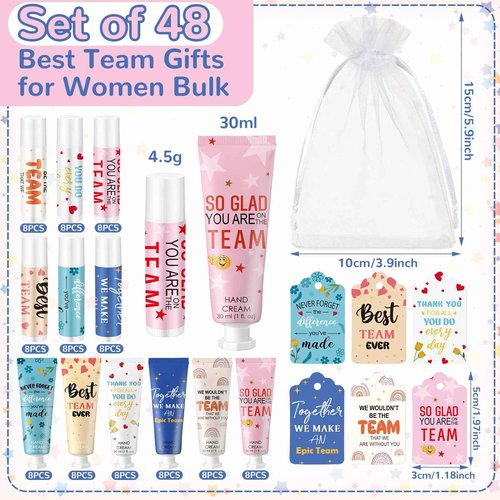 Dansib 48set/192pcs Best Team Ever Gifts Christmas Bulk Gifts for Coworkers Women Employee Appreciation Gift Christmas Party Favors Xmas Stocking Stuffers Items Travel Hand Lotion and Lip Balm Set