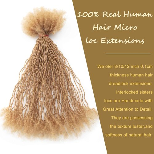 EV&ET Micro Dreadlock Extensions Human Hair,0.2cm Width Afro Kinky Micro Locs Extensions,Can Be Bleached Curled Twisted (#27 40pieces, 12inch 0.2cm)