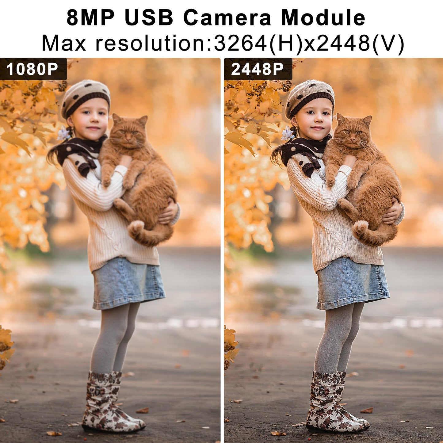 ALPCAM 8MP Autofocus USB Camera Module for Computer, IMX179 Mini UVC USB2.0 Webcam No Distortion Lightburn Camera for 3D Printer, 2448P Embedded Webcam for Windows, Linux, Android and Mac OS