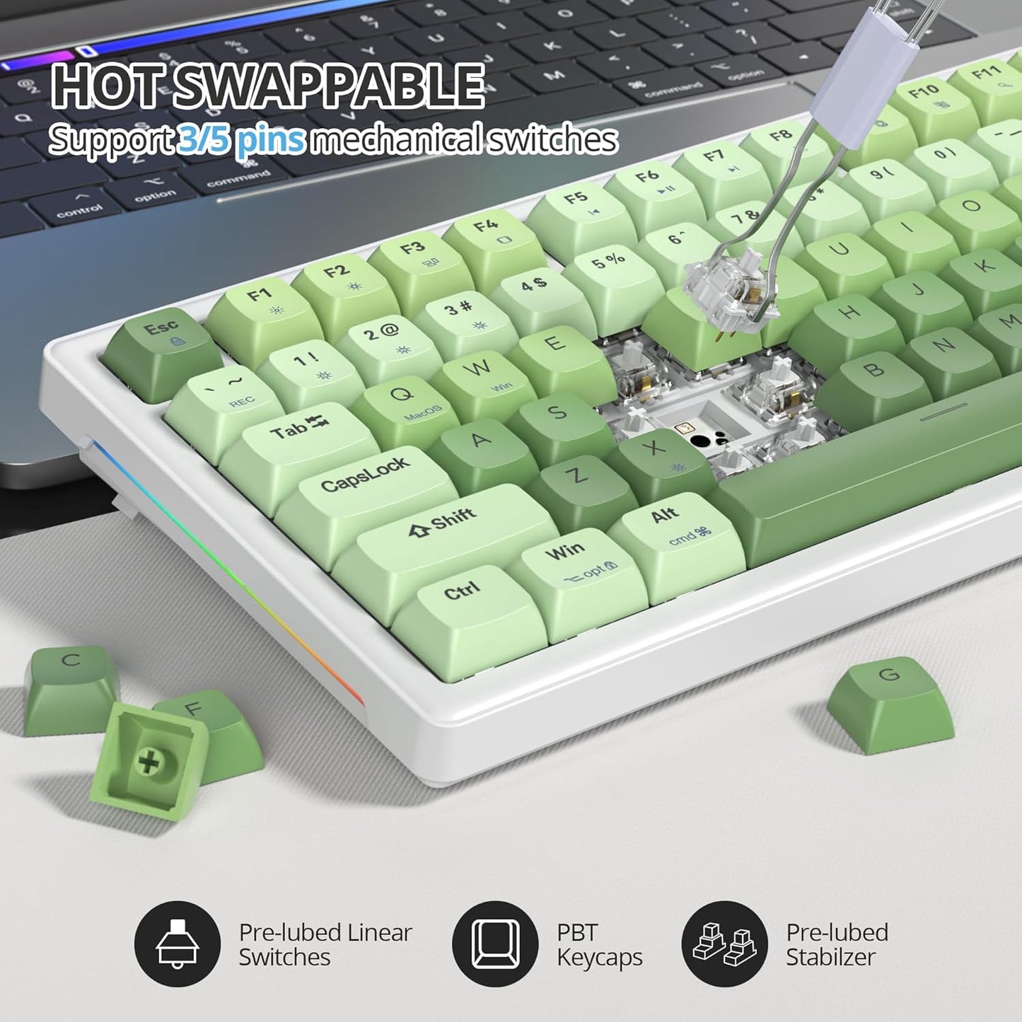 75% Mechanical Keyboard Gasket with Knob, Custom Wired Creamy Gaming Keyboard TKL 75 Percent Hot Swappable RGB Backlit, Pre-lubed Switch for Win/MAC(Roma/White Switch)