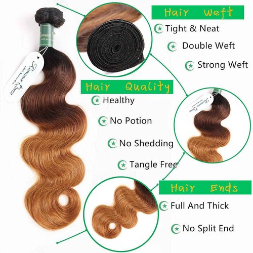 Ombre Bundles With Closure Body Wave Human Hair Brazilian Human Hair 3 Bundles With Closure Weave Hair Human Bundles (12 14 16 + 10 inch, T1B/4/30)
