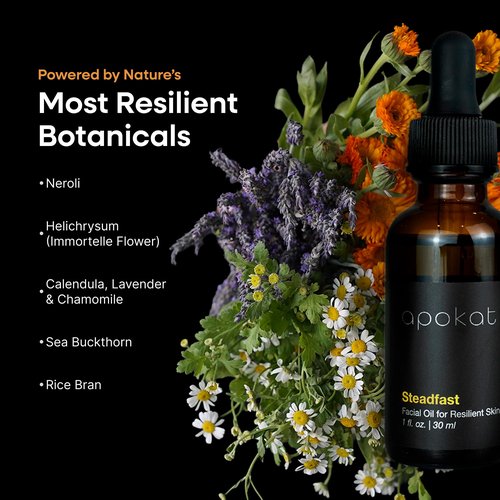 Apokati Steadfast Facial Oil – Calendula, Sea Buckthorn and Neroli – Botanical Support for Sensitive Skin, Barrier Repair and Radiant Balance – Day/Night Use – 30ml