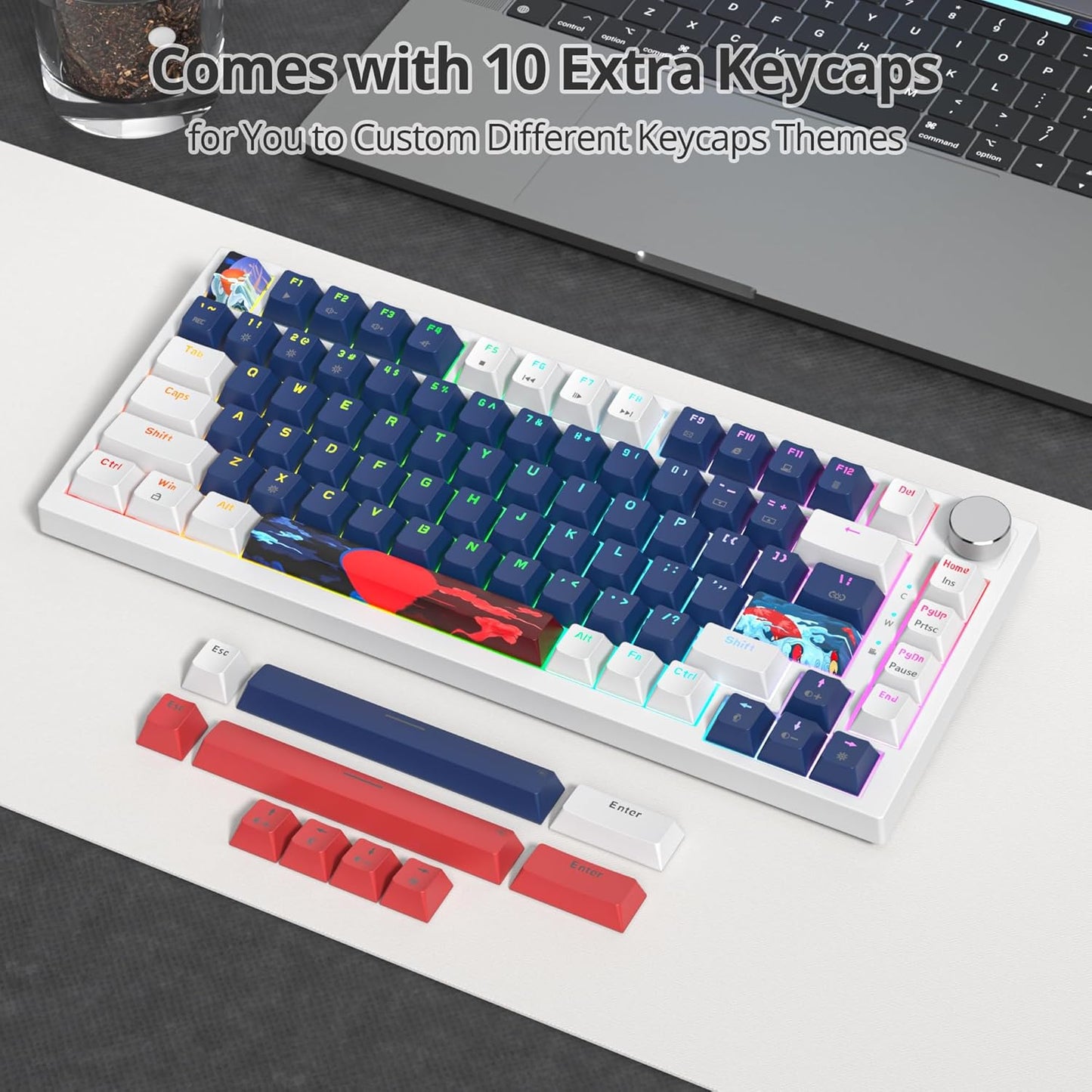75 Percent Keyboard Gasket-Mounted with Sound Absorbing Pads, 82-Key Compact Wired RGB Mechanical Gaming Keyboard Hot-Swap Socket for Win, Dolch