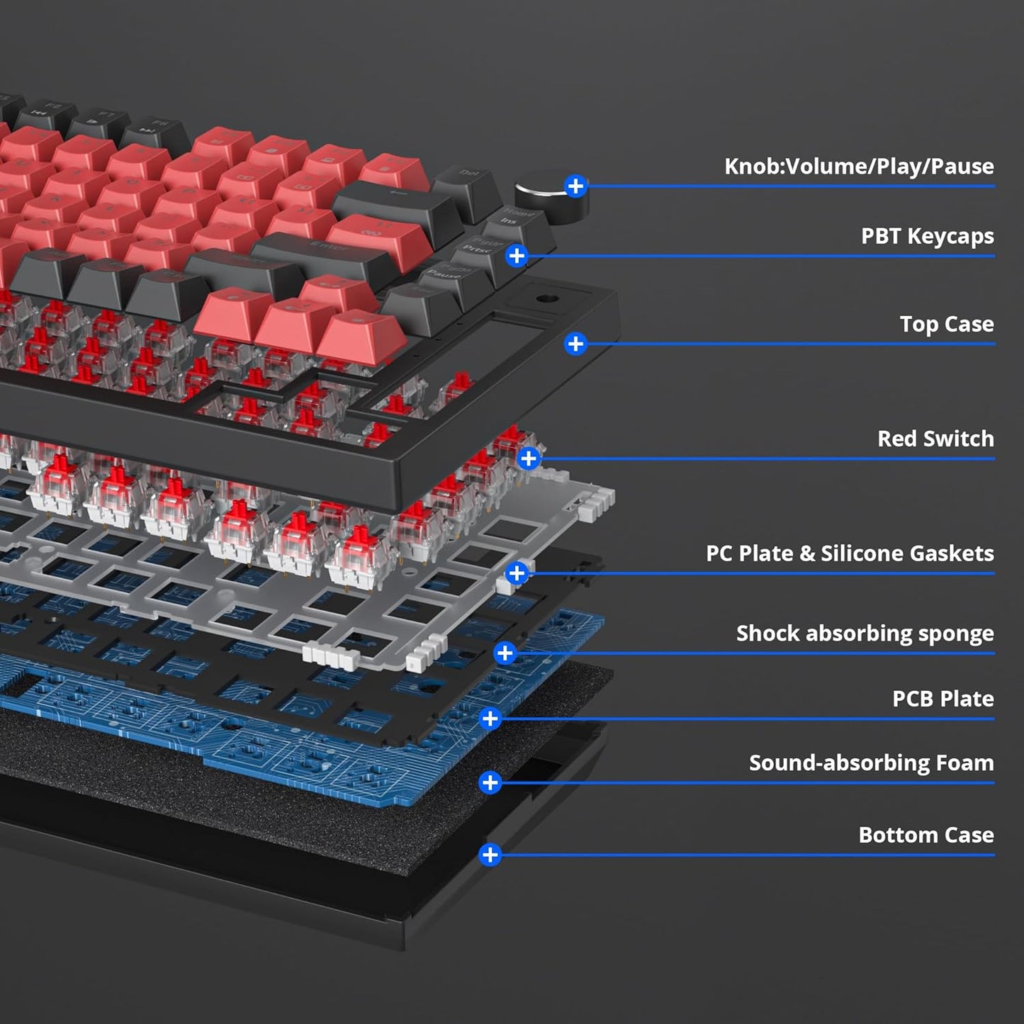 75 Percent Keyboard Gasket-Mounted with Sound Absorbing Pads, 82-Key Compact Wired RGB Mechanical Gaming Keyboard Hot-Swap Socket for Win, Dolch