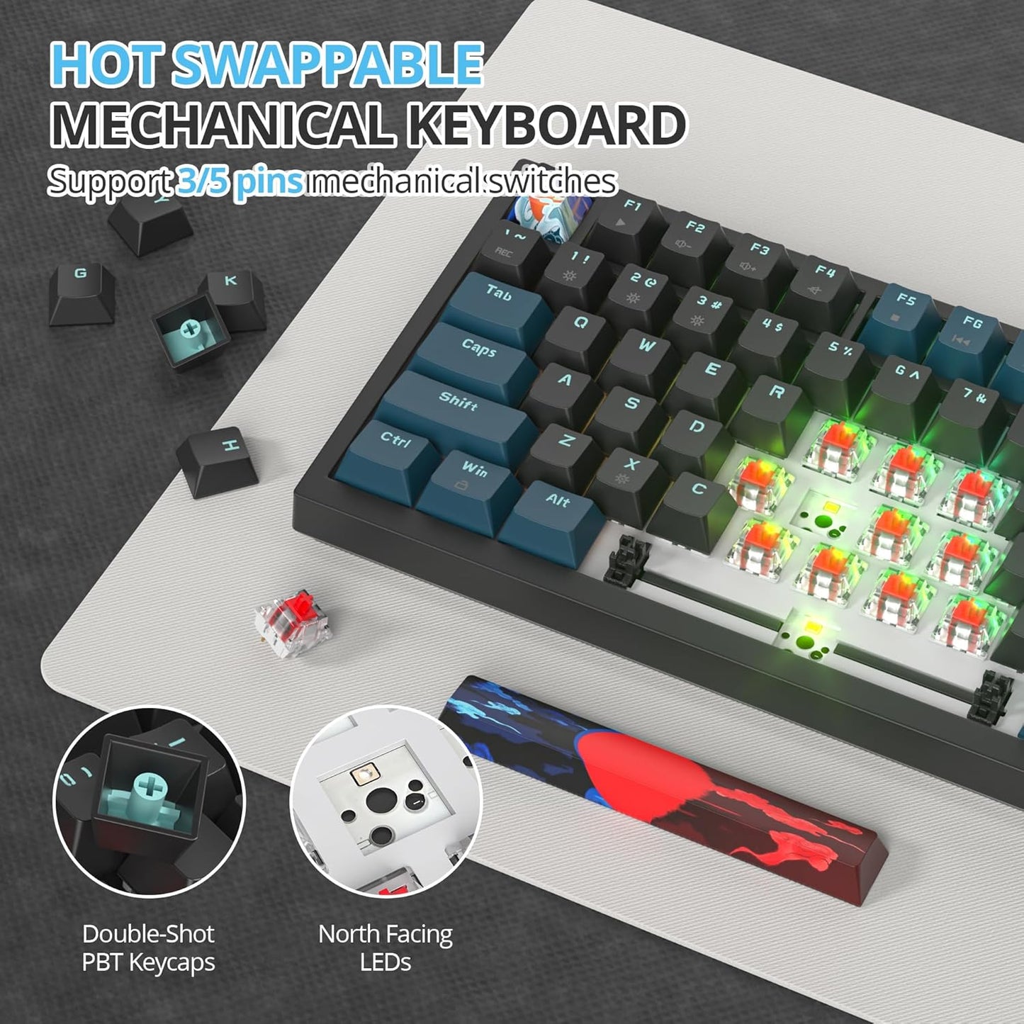 75 Percent Keyboard Gasket-Mounted with Sound Absorbing Pads, 82-Key Compact Wired RGB Mechanical Gaming Keyboard Hot-Swap Socket for Win, Dolch