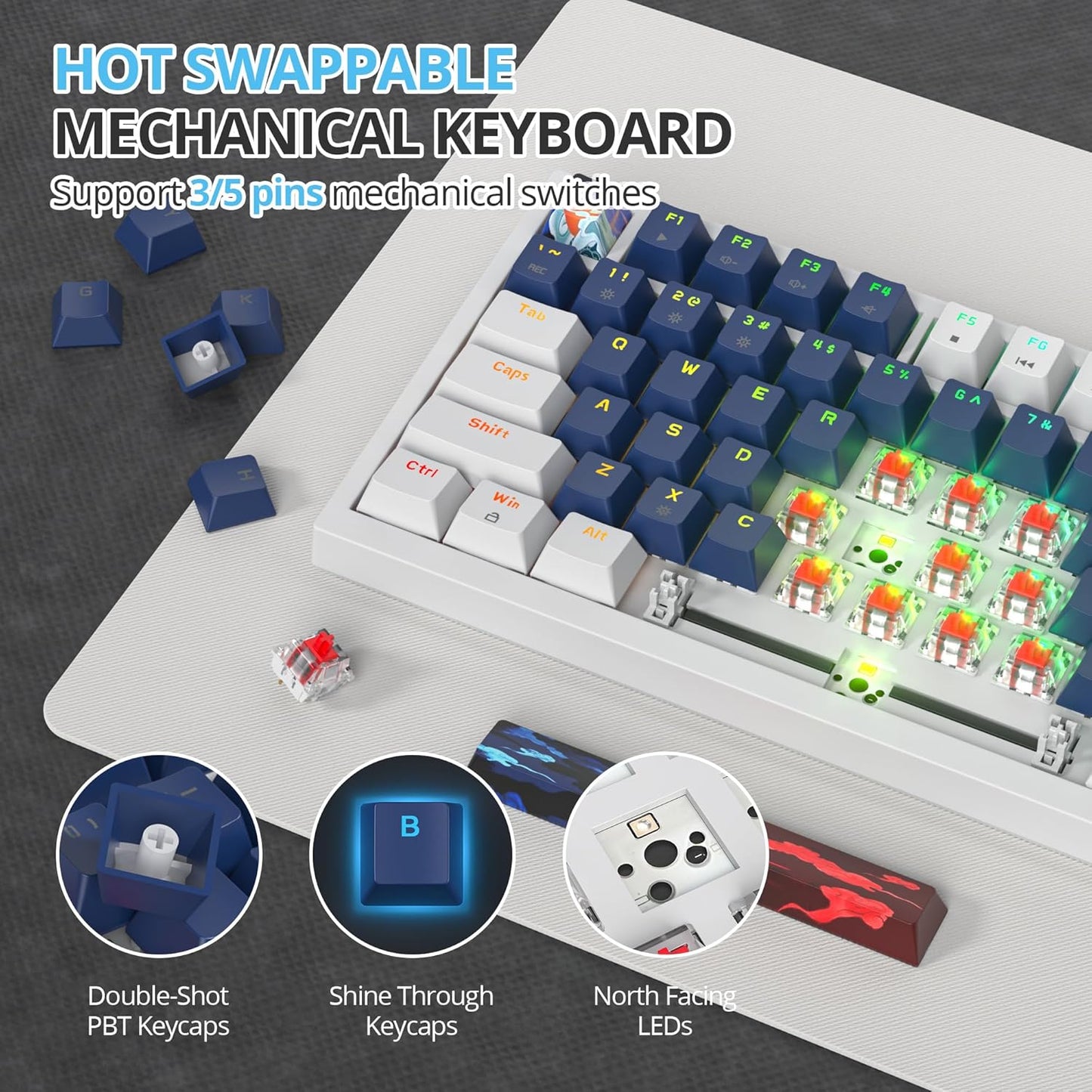 75 Percent Keyboard Gasket-Mounted with Sound Absorbing Pads, 82-Key Compact Wired RGB Mechanical Gaming Keyboard Hot-Swap Socket for Win, Blue Samurai