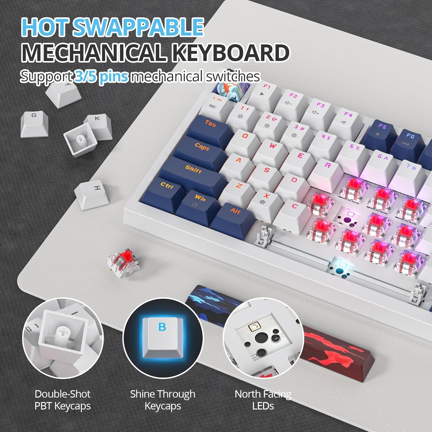 75 Percent Keyboard Gasket-Mounted with Sound Absorbing Pads, 82-Key Compact Wired RGB Mechanical Gaming Keyboard Hot-Swap Socket for Win, Monster-B