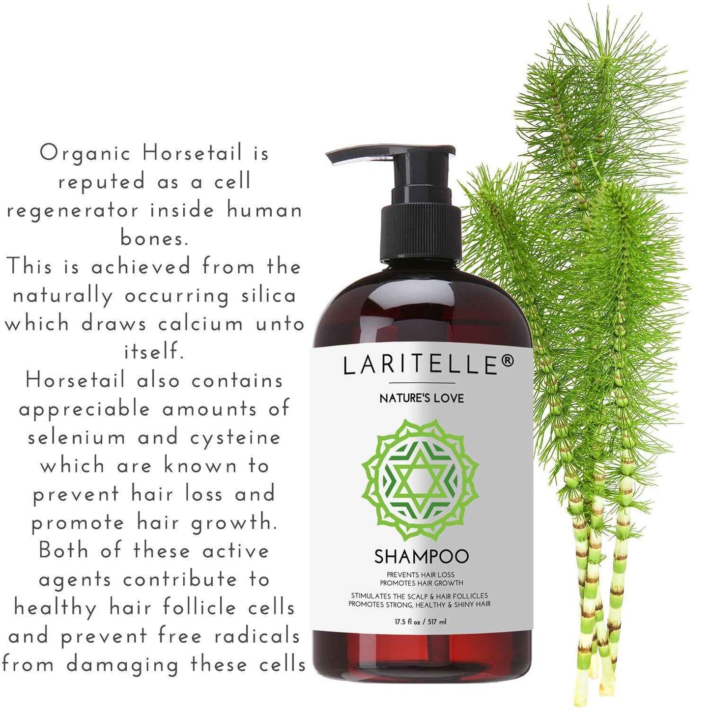 Laritelle Organic Shampoo 17.5 oz | Organic Quinoa + Keratin + Follicle Stimulating Rosemary, Ginger & Grapefruit | Hair Loss Prevention, Clarifying, Softening, Strengthening | NO GMO. Vegan