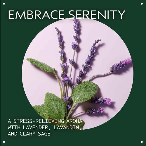 Aveda Stress-Fix Body Creme | Shown to Reduce Feelings of Stress | with Aroma of Lavender, Lavandin, Clary Sage, 6.7 Fl Oz