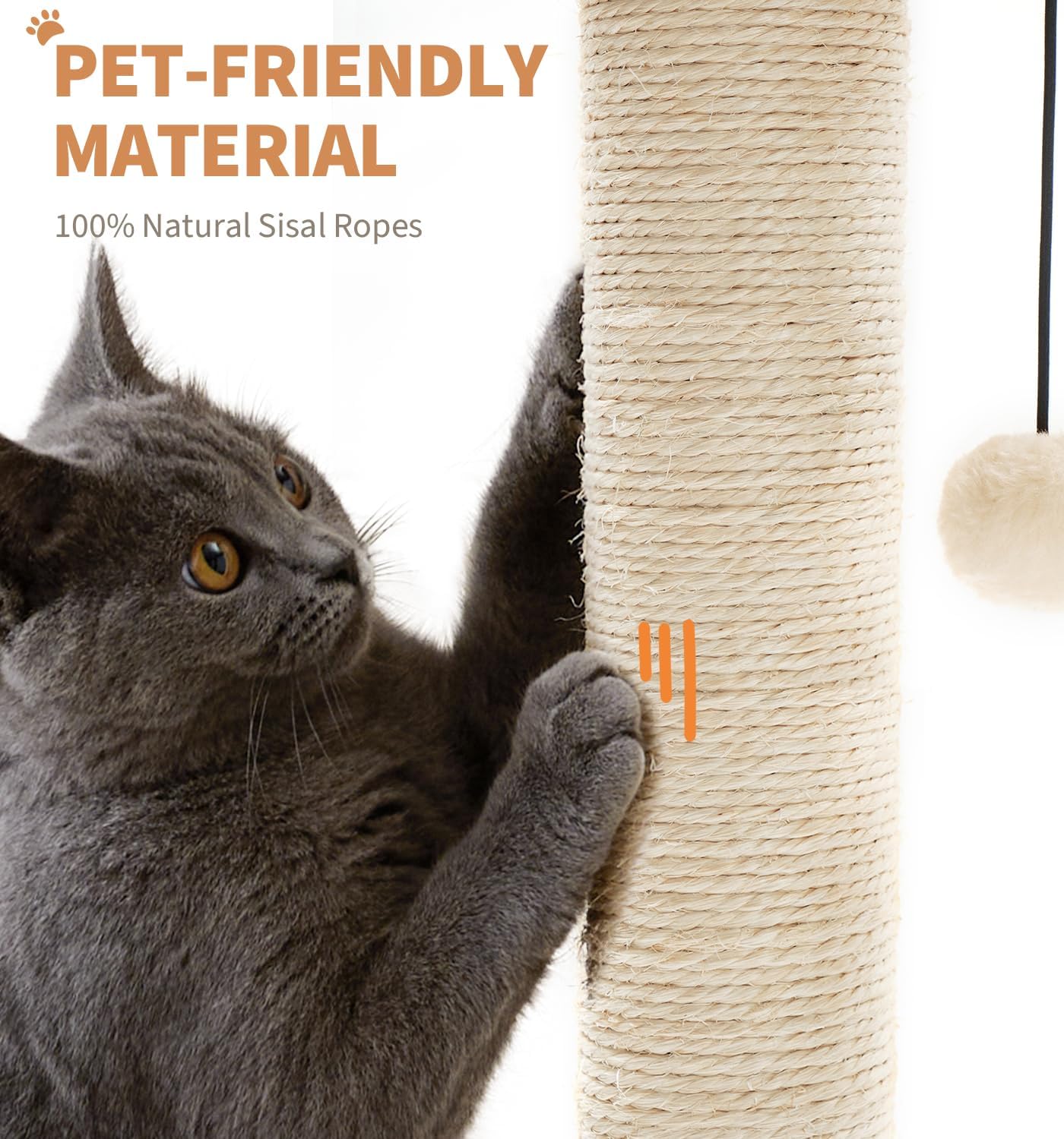 Medium Cat Scratching Post with Interactive Toys and Wooden Ball Lane - Indoor Pet Toy