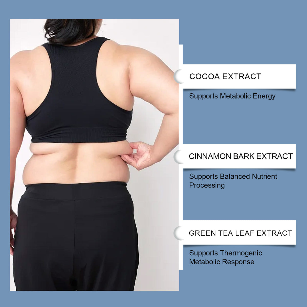 Fat-Burning Support Capsules - 60 Natural Ingredients for Weight Loss