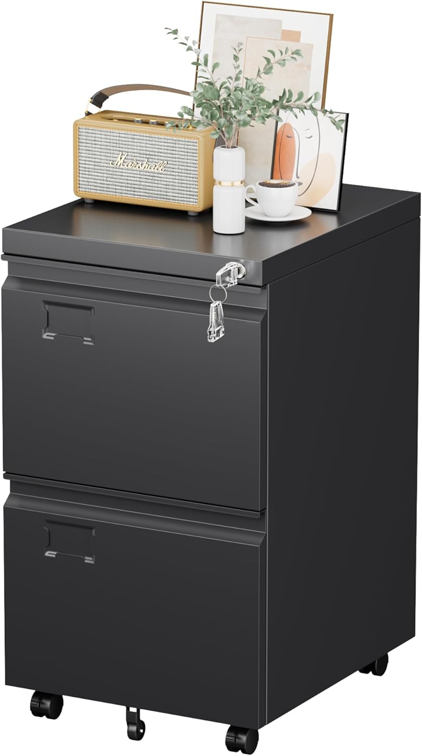 2-Drawer Mobile File Cabinet with Lock - Black Metal Storage