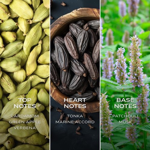 Intelligent H2O Eau de Parfum | Cologne for Men | Aquatic, Bold, and Refreshing | 3.4 Fl Oz (100 mL)