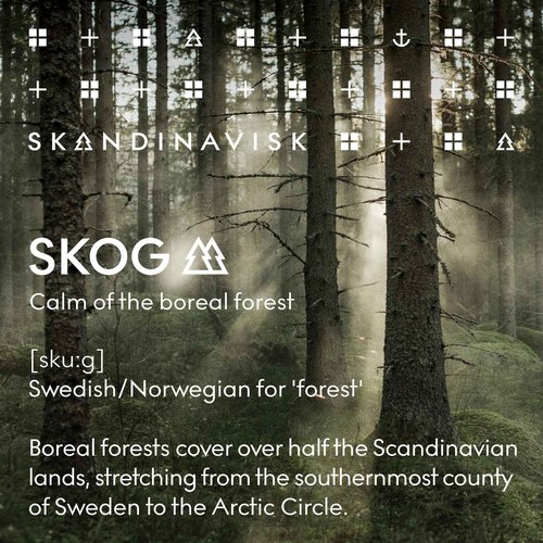 Skandinavisk SKOG ‘Forest’ Hand & Body Lotion, Scent Notes: Pine Needles and Fir Cones, Birch Sap and Woodland Lily of the Valley, Coloured Glass Bottle with Pump, 6.75 fl. oz.