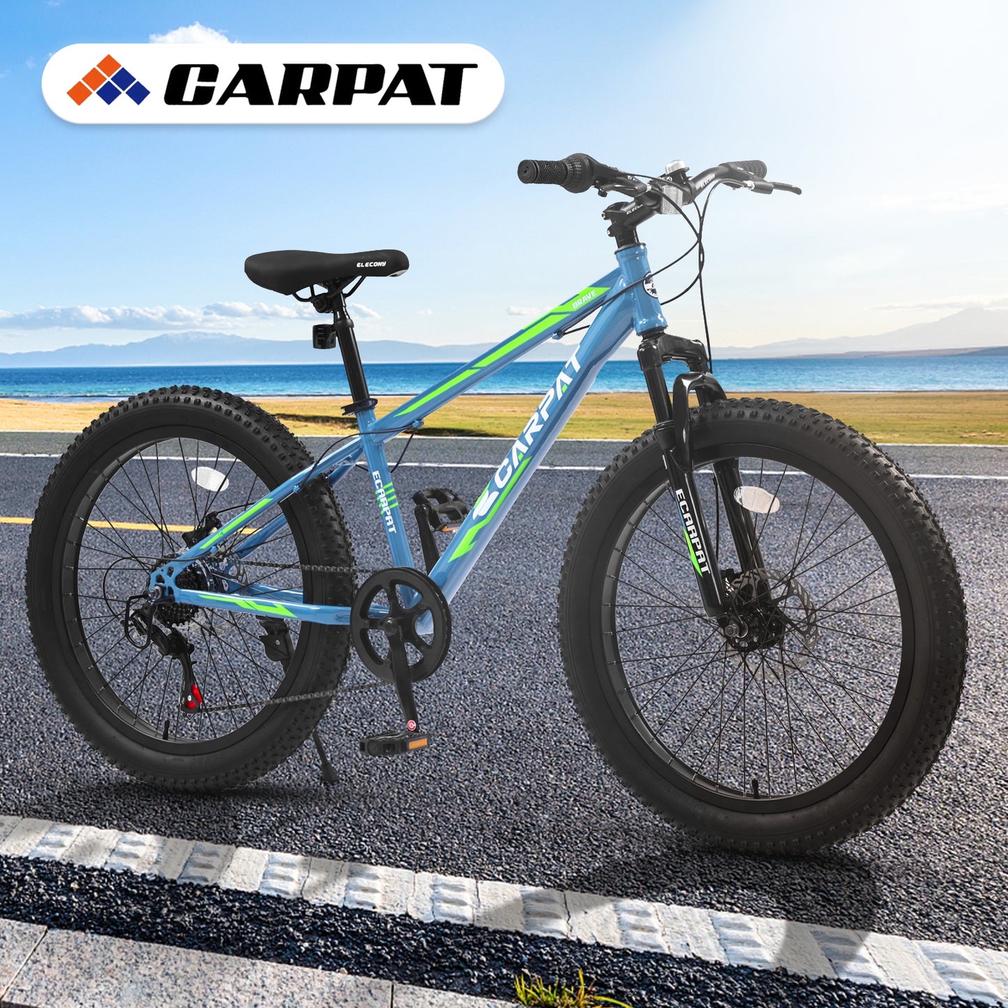 24-Inch Fat Tire Mountain Bike - Full Shimano 7-Speed, Blue & Green