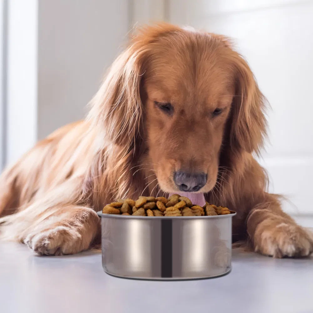 Stainless Steel Hanging Pet Food & Water Bowl with Clamp Holder - Medium