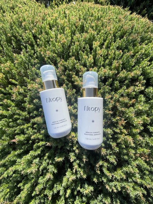 N.Bios Ntopy Aralia Cordata Soothing Ampoule - Korean Ampoule for Face, Moisture Ampoule, Ultimate Calming for sensitive skin, 4.05 oz