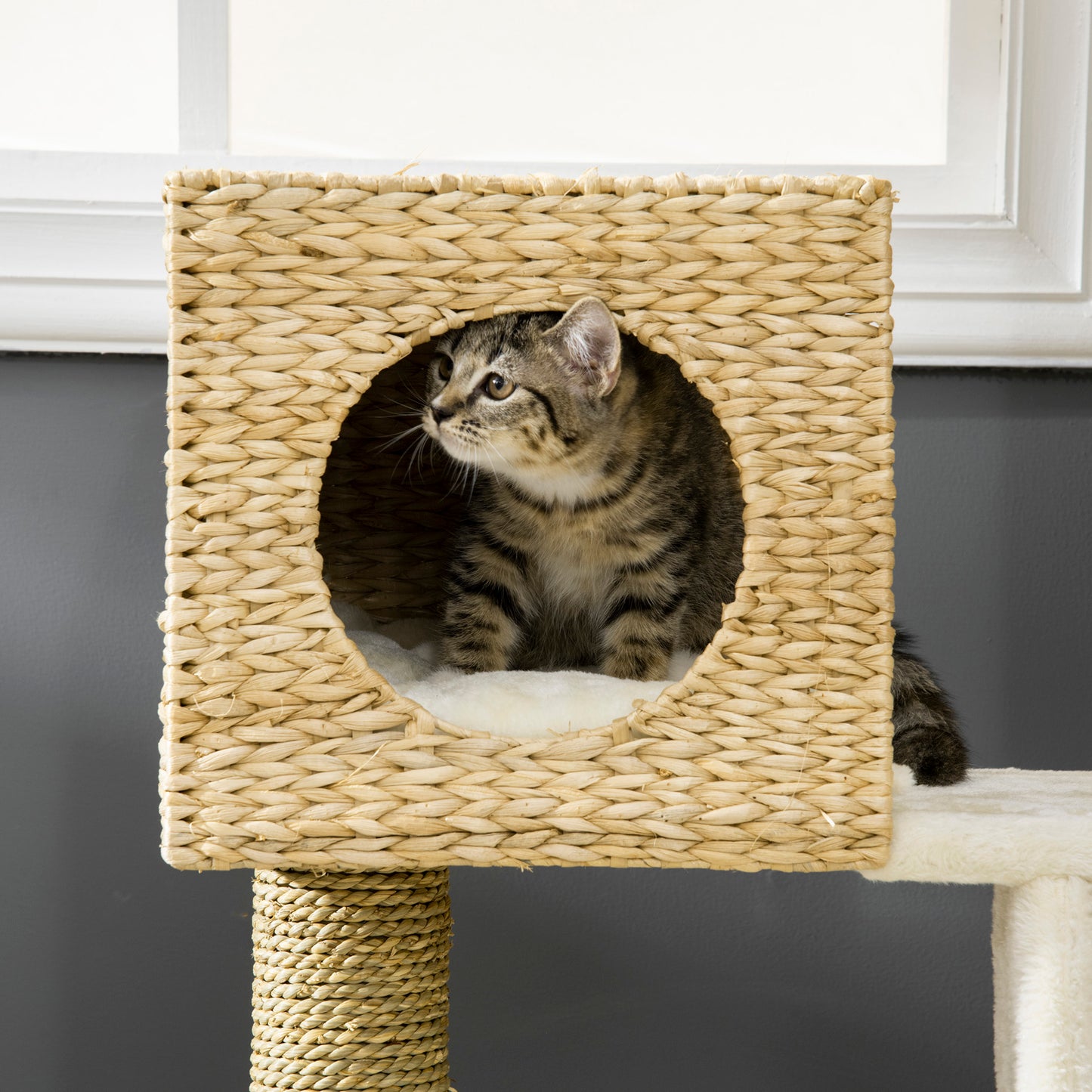 Indoor Cat Tree Tower with Rattan Condo and Washable Cushions - Natural Finish