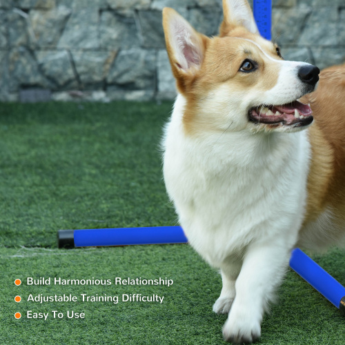 Dog Agility Training Equipment Set with Adjustable Jump Poles - 4 Pieces