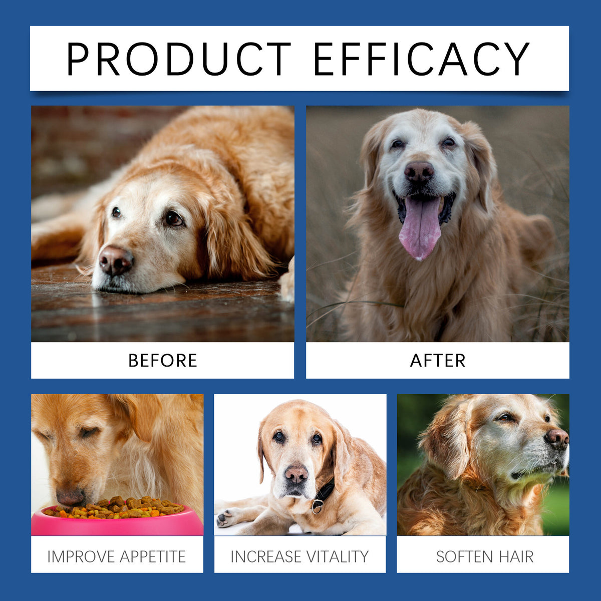 Care Older Dog Calcium Tablets Supplement Nutrition Pet