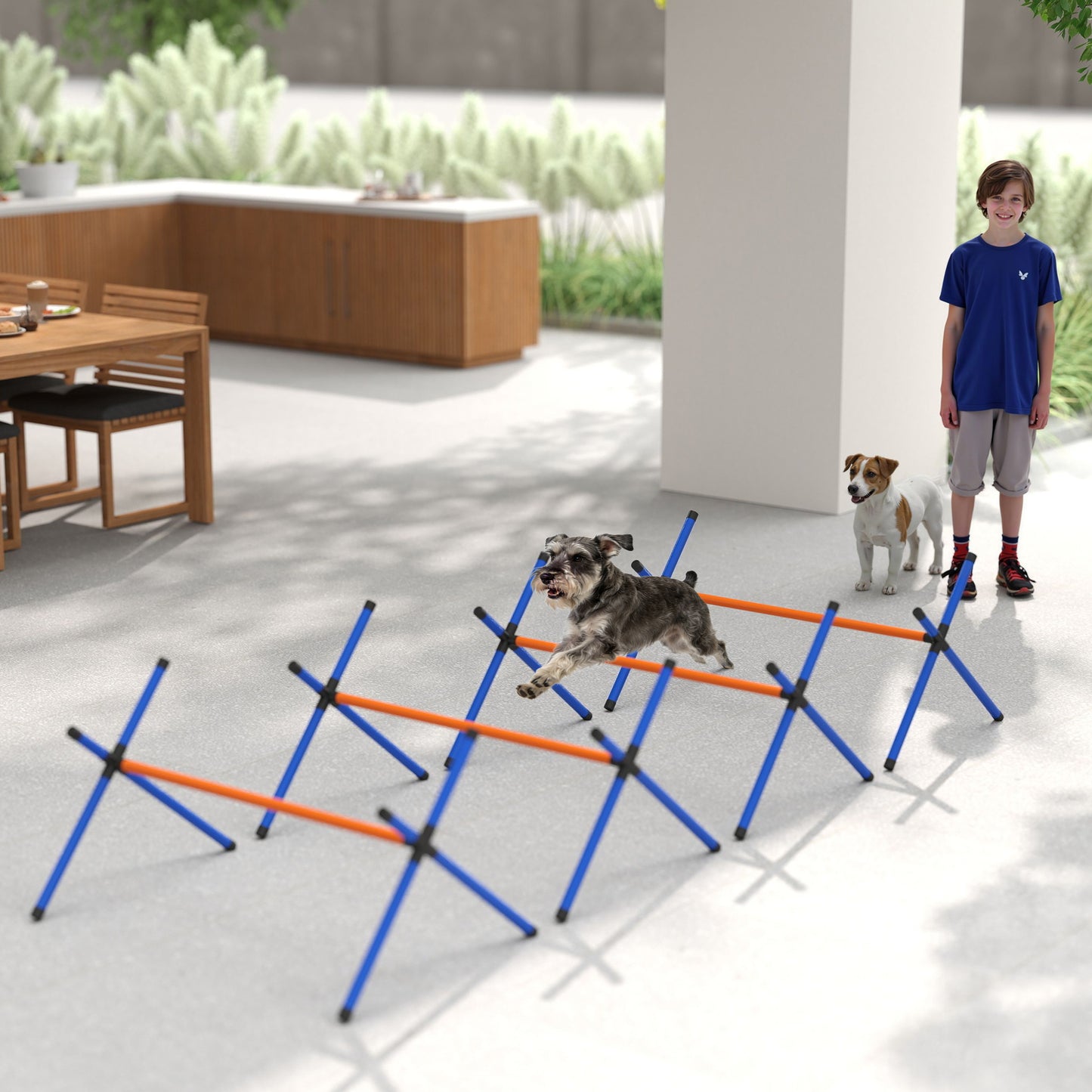 Dog Agility Course Set with Adjustable Jump Bars & Carry Bag - Backyard Training Equipment