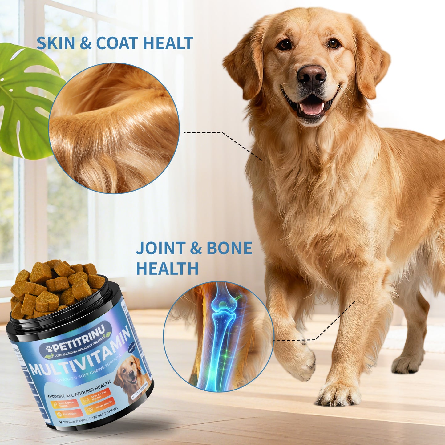 Multivitamins for Dogs - Pet Snacks for Health & Vitality