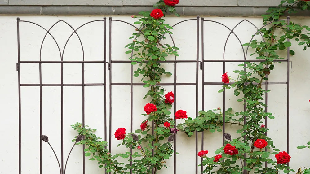 Metal Garden Trellis - 71" x 17.7" Rustproof Climbing Support