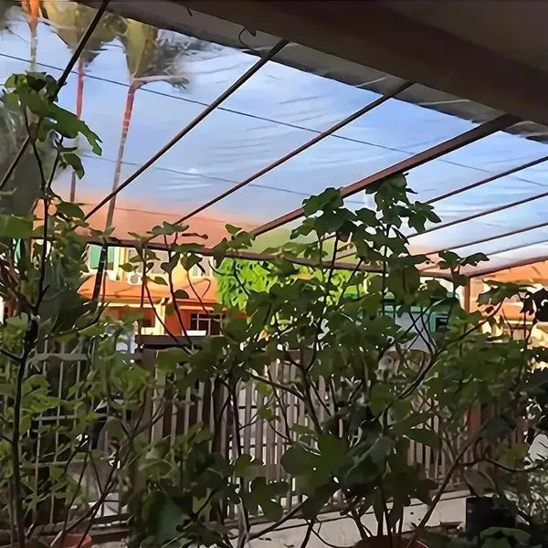 Heavy-Duty Transparent Canopy Cloth for Garden, Yard, Greenhouse - 2M x 4M