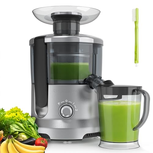 Centrifugal Juicer, 500-watt Equipped With A 2-inch Feed Opening And