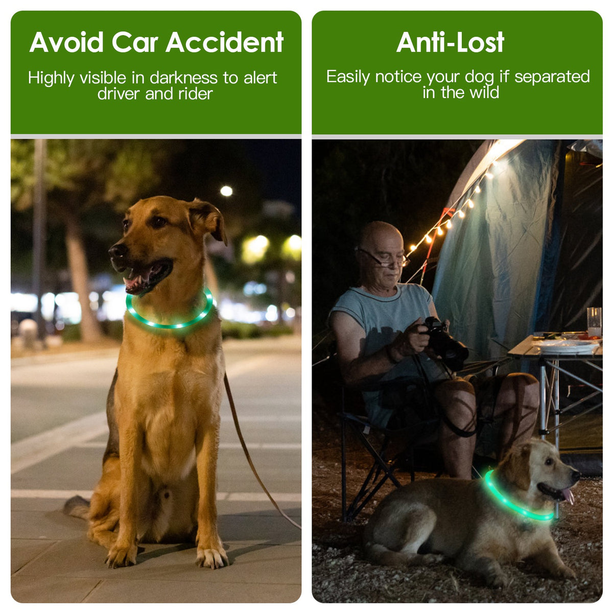USB Rechargeable LED Dog Collar Multi-Color Safety Glow Collar for Night Walking
