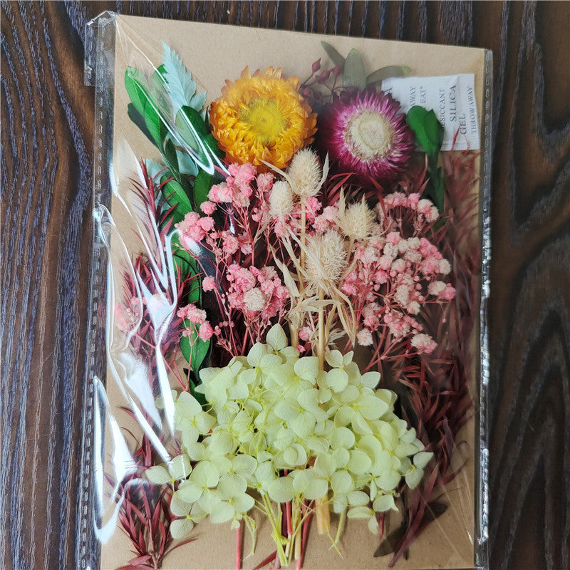 Dried Flower Material Pack for Candle & Photo Frame Decoration - Multiple Styles