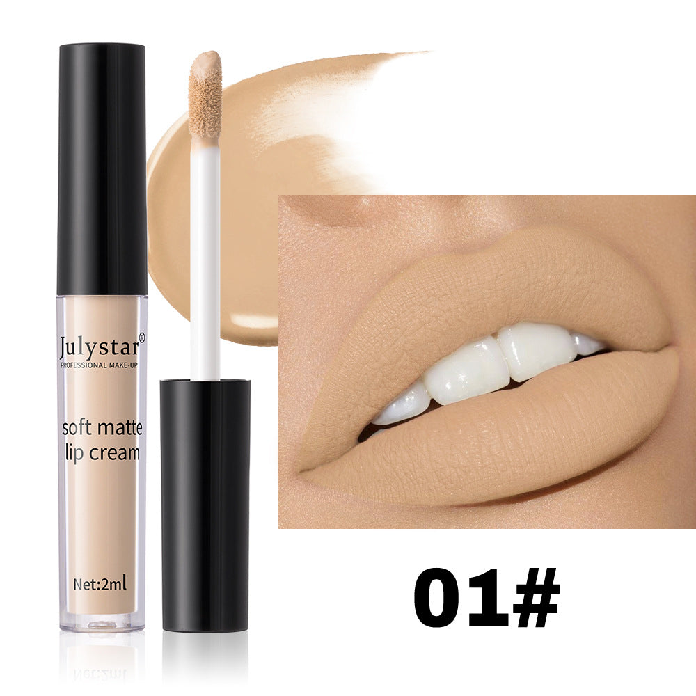 Matte Finish Lip Lacquer Set - Non-Fade, Nonstick, 2ML Lip Gloss