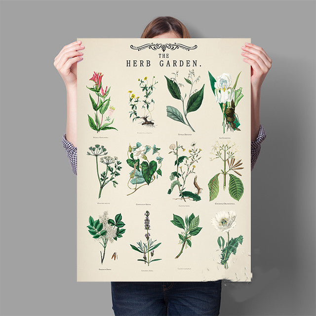 Herb Garden Botanical Poster Wall Art - Modern Minimalist Canvas Print