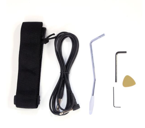 170 Electric Guitar with Bag, Strap, and Accessories - Black