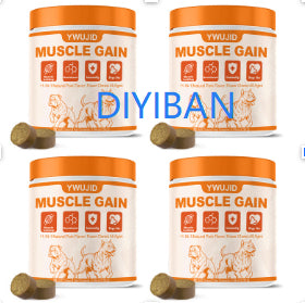 Pet Muscle Support Soft Chew Tablets for Active Pets — CJ