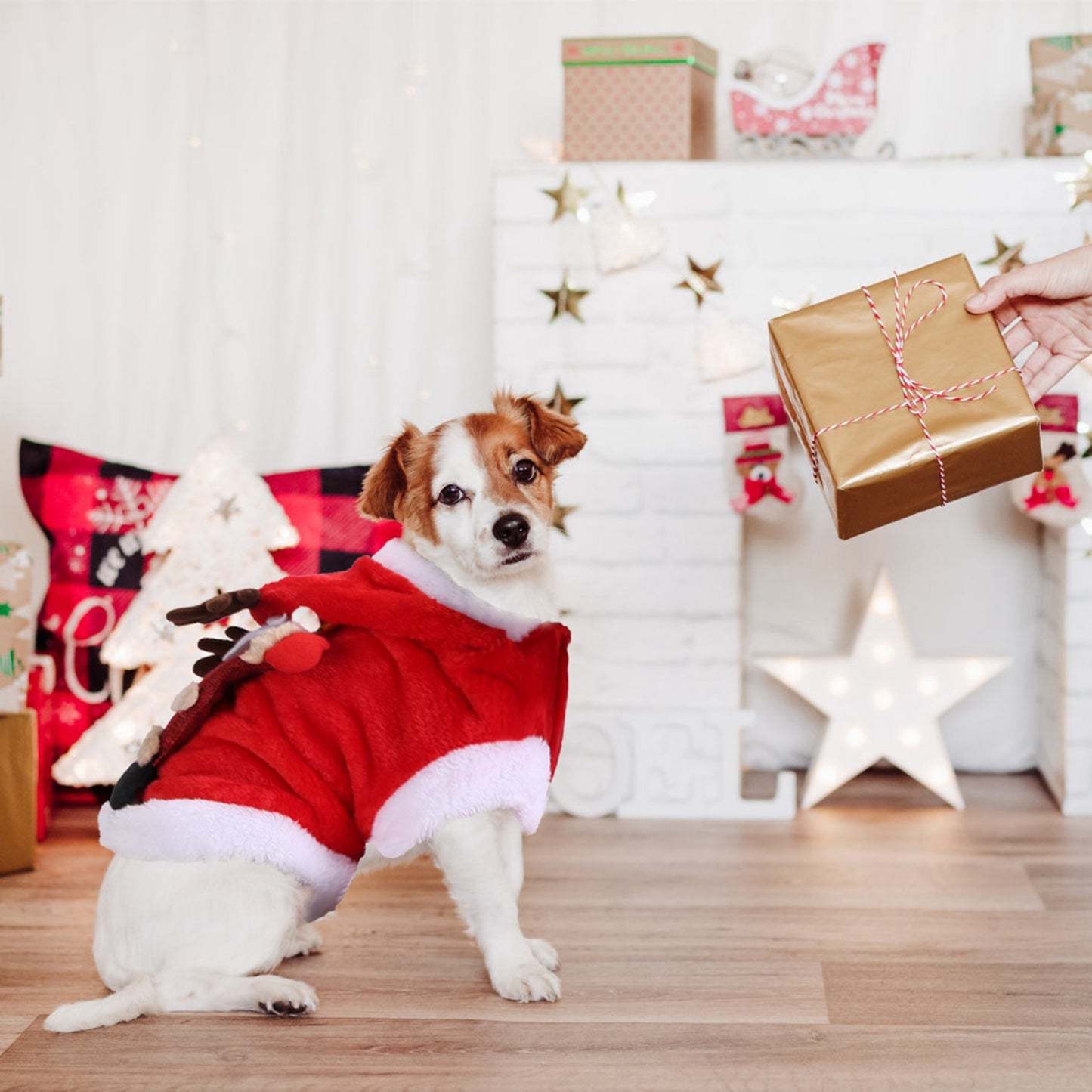 Pet Christmas Costume Santa Reindeer Antlers Winter Outfit for Small Medium Dogs Cats