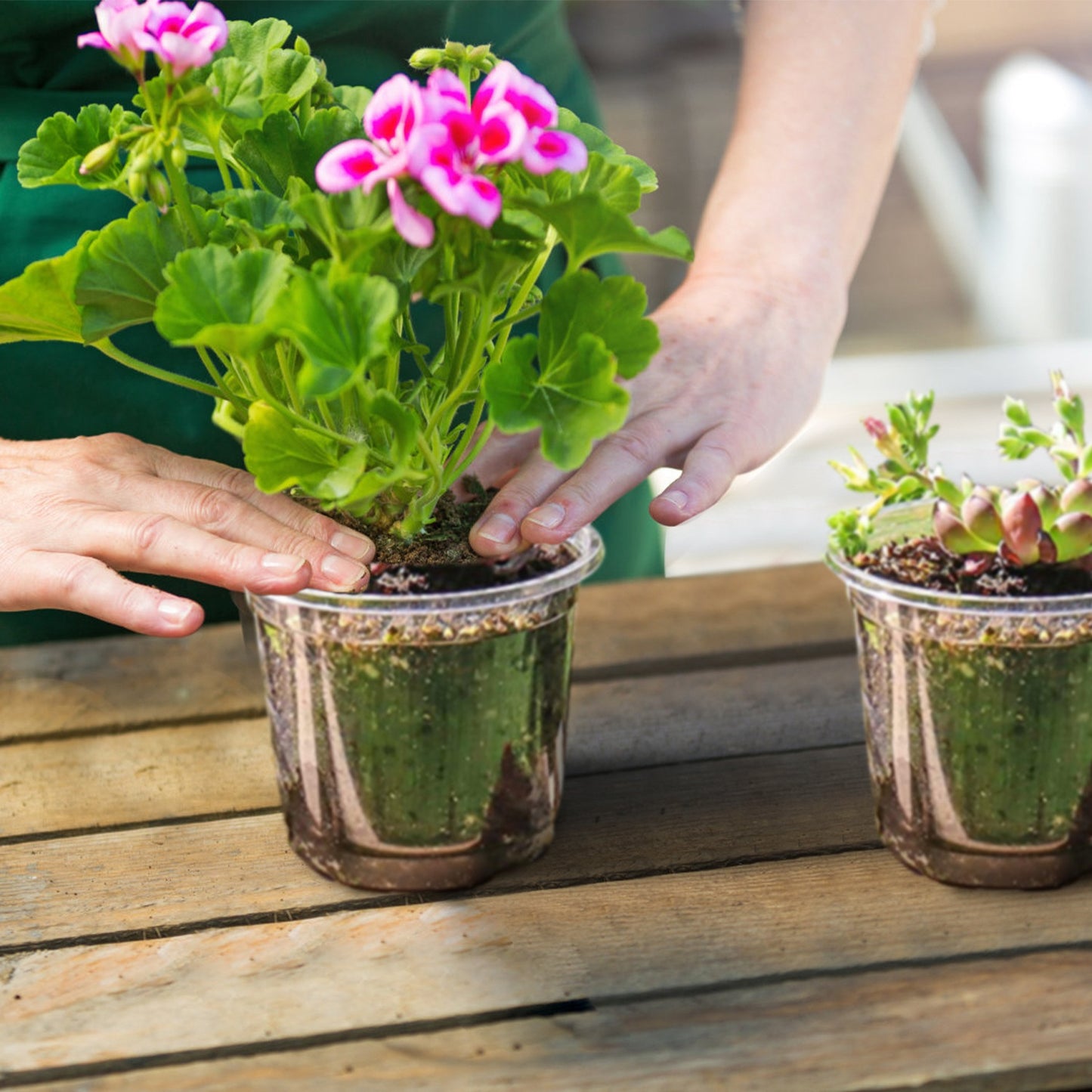 30 Pack Plant Nursery Pots with Humidity Domes and Drainage Holes