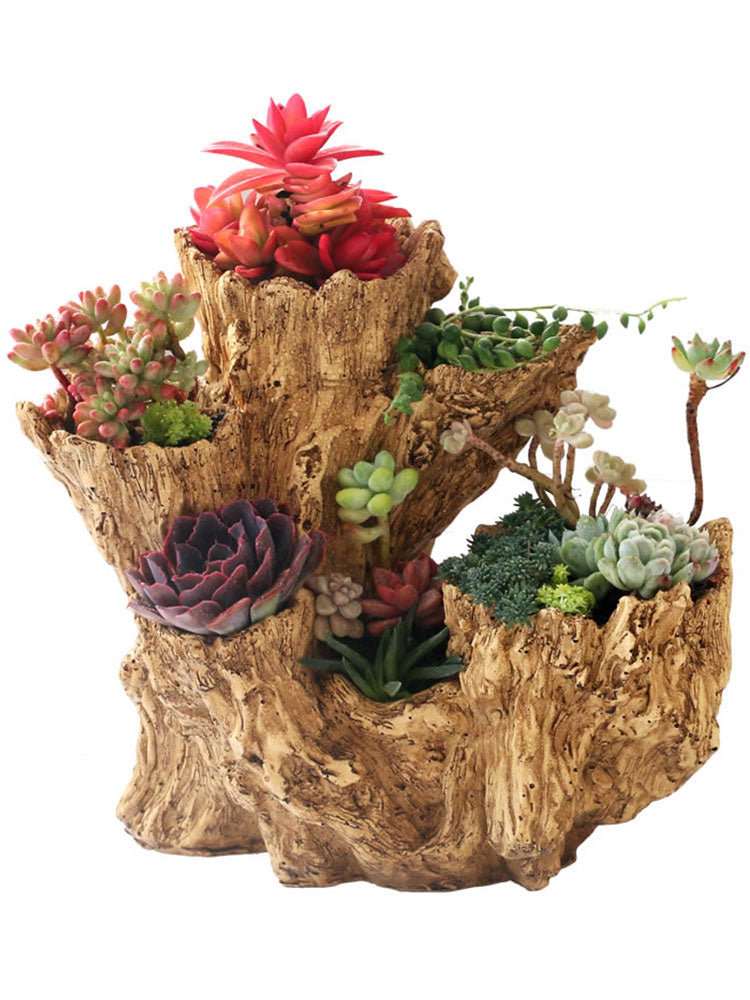 Cactus Flower Pot with Resin Material - Small Wooden Color Home Plant Container