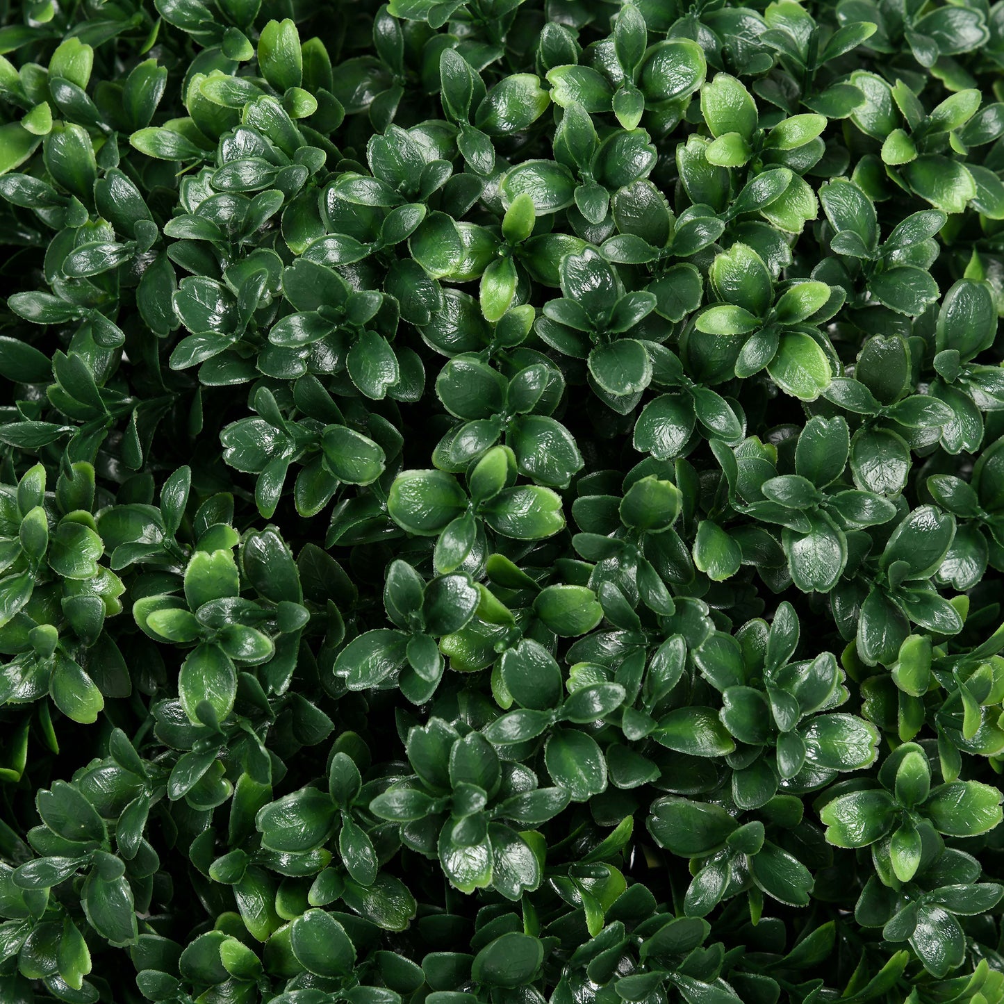 Artificial Boxwood Topiary Trees - Set of 2 UV Resistant