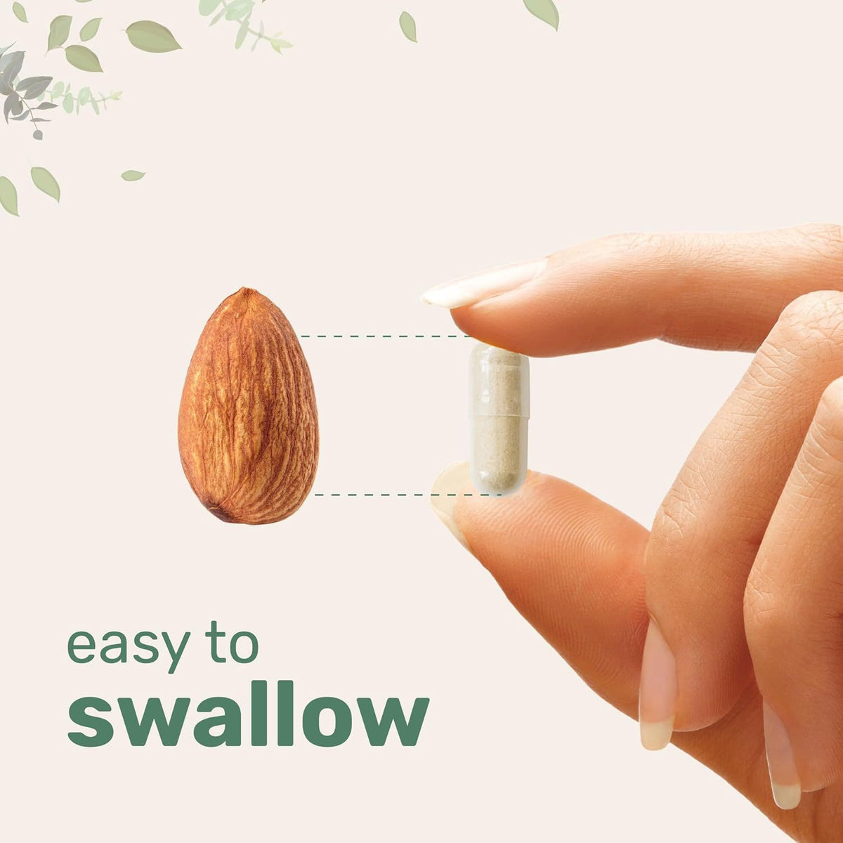 Lion Mane Capsule - 240 Tablets per Bottle